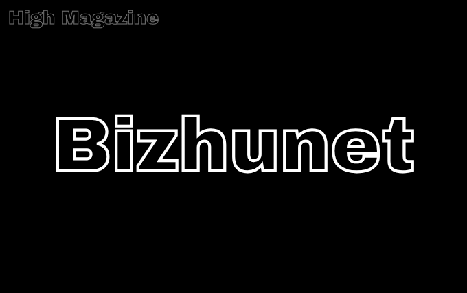 bizhunet